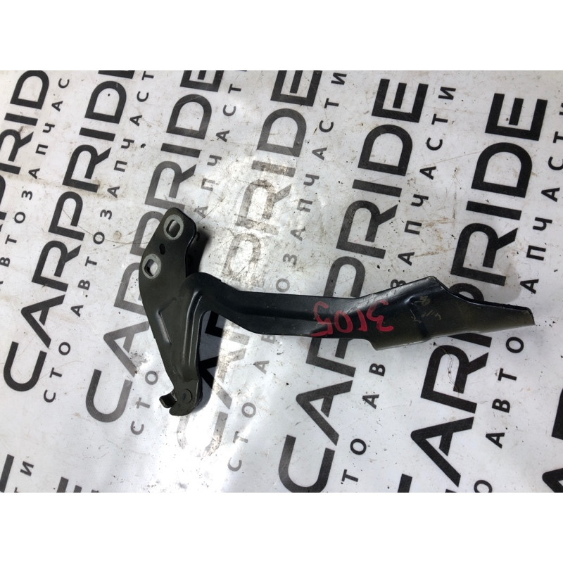 Петля капота (кузов и элементы) FORD Fusion MK5 2014 2.5 ds73f16801ab