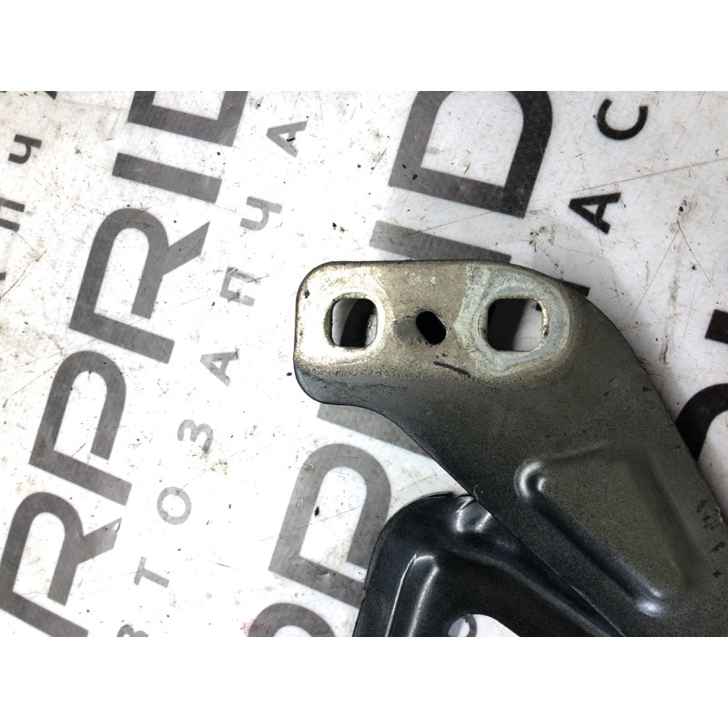 Петля капота (кузов и элементы) FORD Fusion MK5 2014 2.5 ds73f16801ab