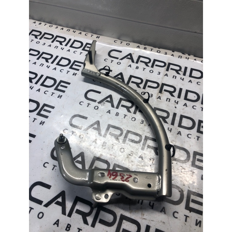 Петля багажника (кузов и элементы) FORD Focus MK3 2016 1.0 CM5Z5442700B