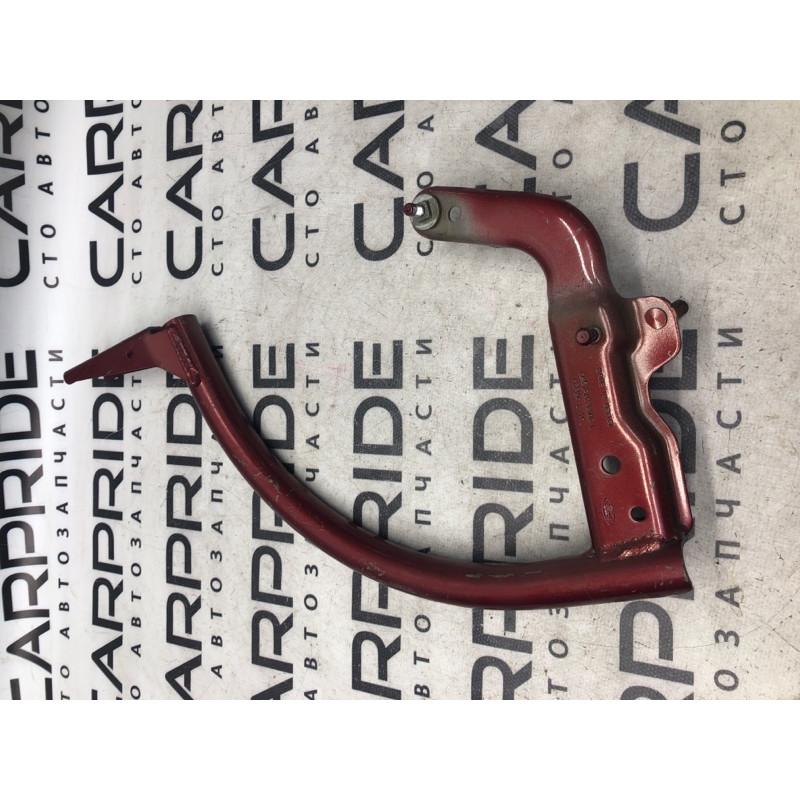 Петля багажника (кузов и элементы) FORD Focus MK3 2015 2.0 CM5Z5442701B