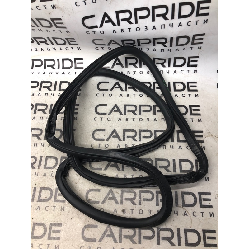 Уплотнитель проема двери (кузов и элементы) Jeep Renegade BU 2020 2.4