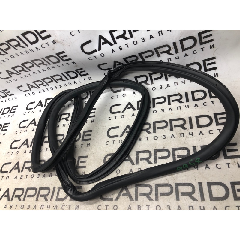 Уплотнитель проема двери (кузов и элементы) Jeep Renegade BU 2020 2.4