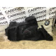 Обшивка багажника (салон) FORD Focus MK3 2016 1.0 cm51f31148