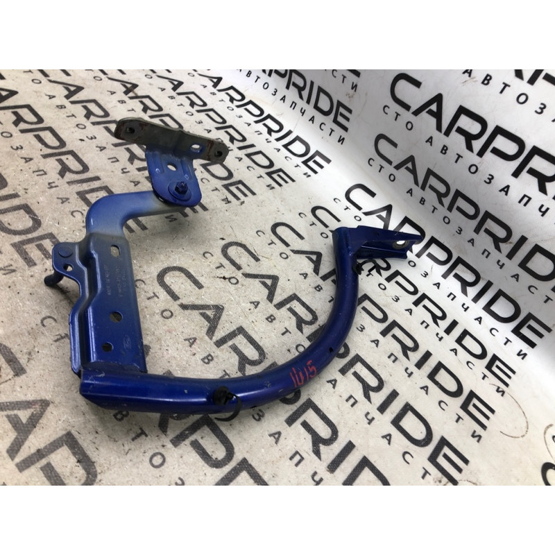 Петля багажника (кузов и элементы) FORD Focus MK3 2013 2.0 CM5Z5442700B