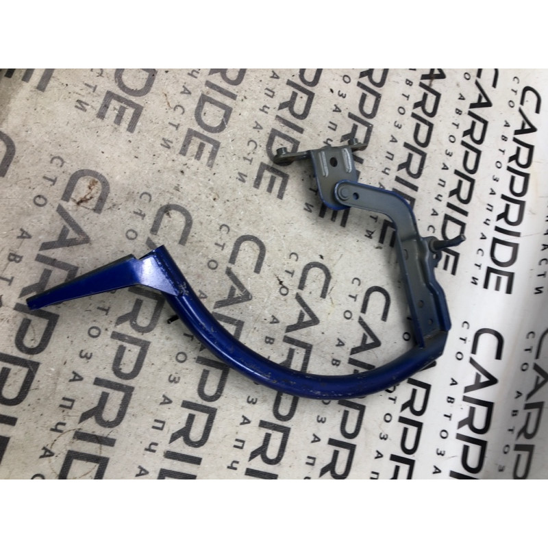 Петля багажника (кузов и элементы) FORD Focus MK3 2013 2.0 CM5Z5442700B