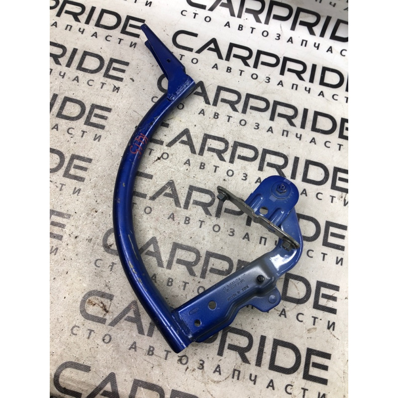 Петля багажника (кузов и элементы) FORD Focus MK3 2013 2.0 CM5Z5442701B