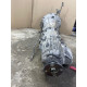 АКПП (трансмиссия) Infiniti G35 V36 2010 3.5 99x6b