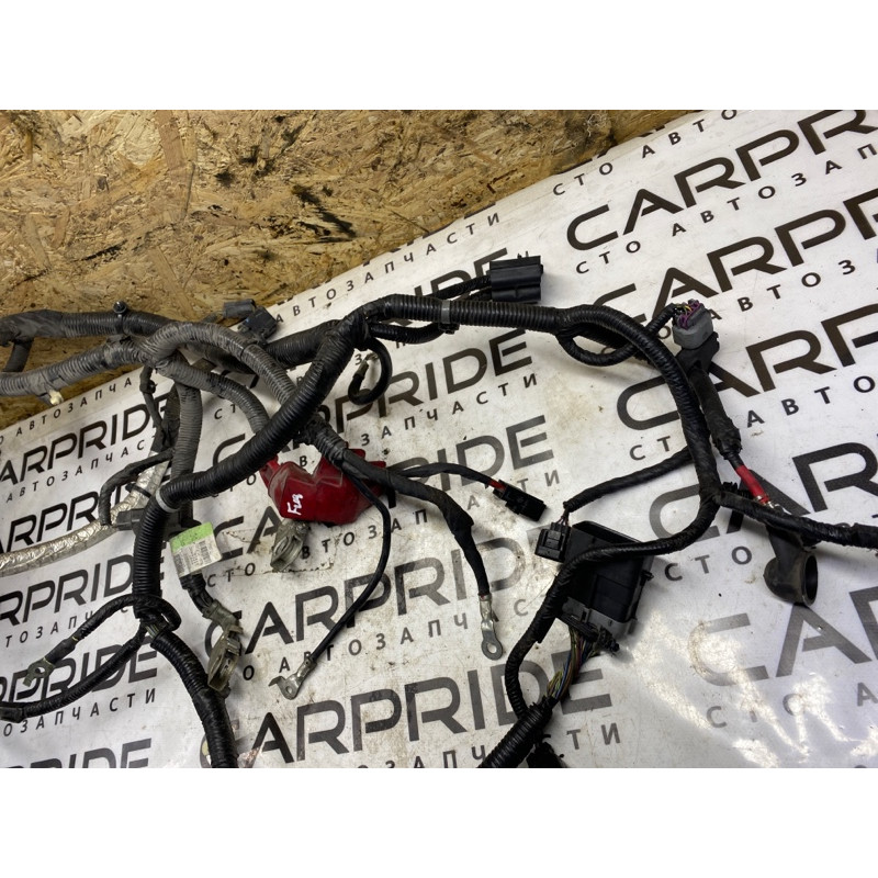 Проводка моторная (электрика двигателя) Ford Fusion MK5 2.5 eg9t14a280dc
