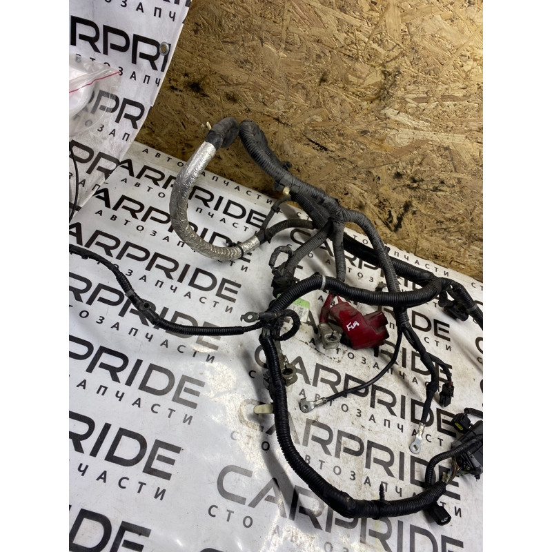 Проводка моторная (электрика двигателя) Ford Fusion MK5 2.5 eg9t14a280dc