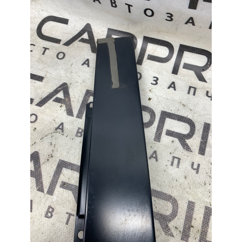 Бічна накладка двері (кузов і елементи) Jeep Cherokee Trailhawk 2014 2.4 68102563aa