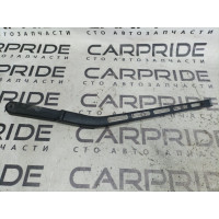 Поводок дворника