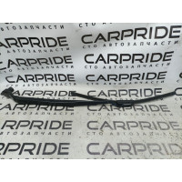 Поводок дворника