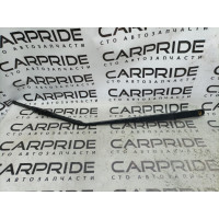 Поводок дворника