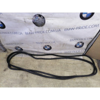 Ущільнювач дверей