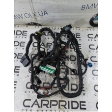 Проводка моторная