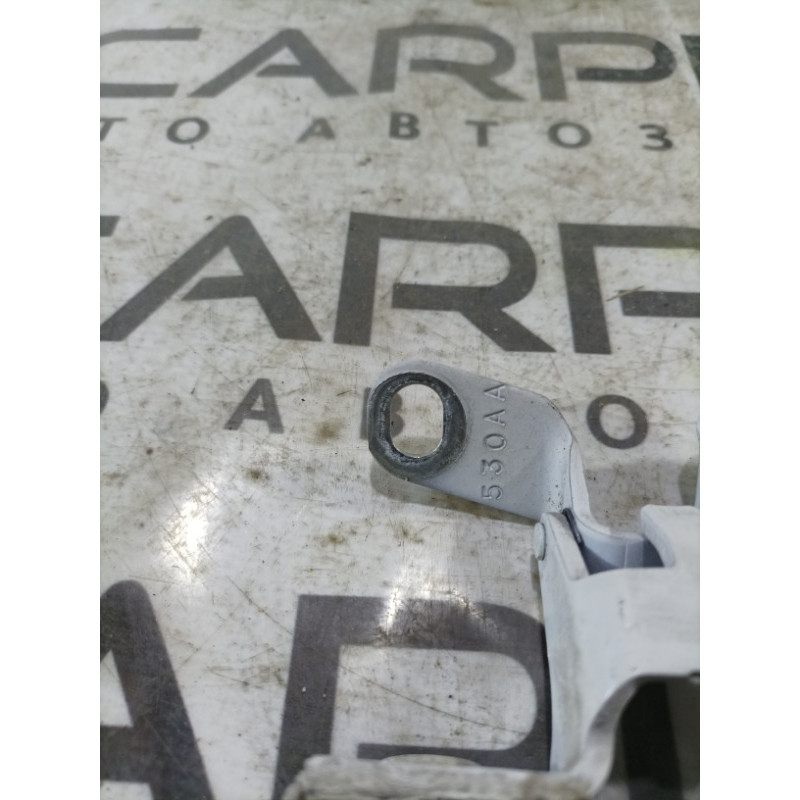 Петля багажника (кузов і елементи) Jeep Compass MK49 2011 2.4 4589530AA