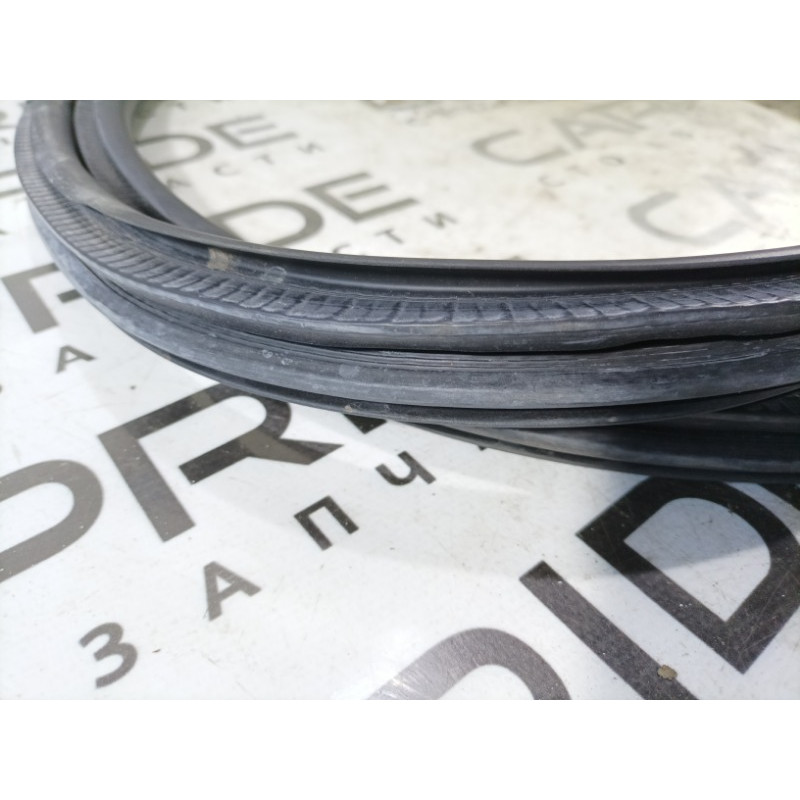 Уплотнитель проема двери (кузов и элементы) BMW 3-series F30 2014 N20B20 51727303967