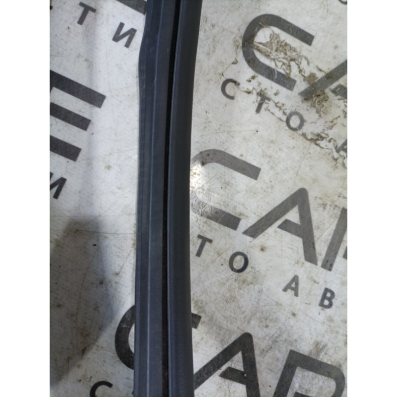 Уплотнитель проема двери (кузов и элементы) Jeep Compass MP 2018 2.4 68339991AA