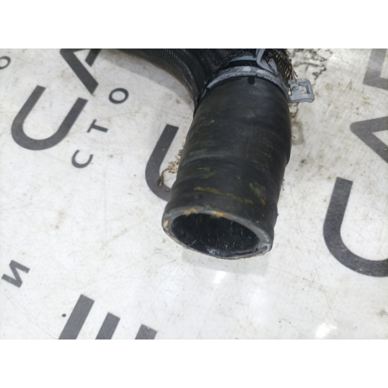 Патрубок (система охлаждения) FORD Mustang MK6 2017 2.3 fr338b274bf