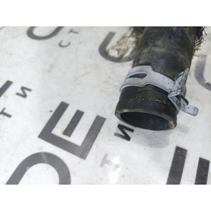 Патрубок (система охлаждения) FORD Mustang MK6 2017 2.3 fr338b274bf