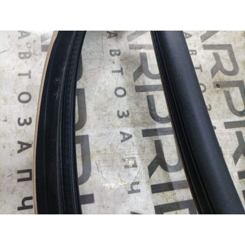 Ущільнювач дверей (кузов і елементи) Mercedes-Benz GL X164 2012 4.6 a1646900876