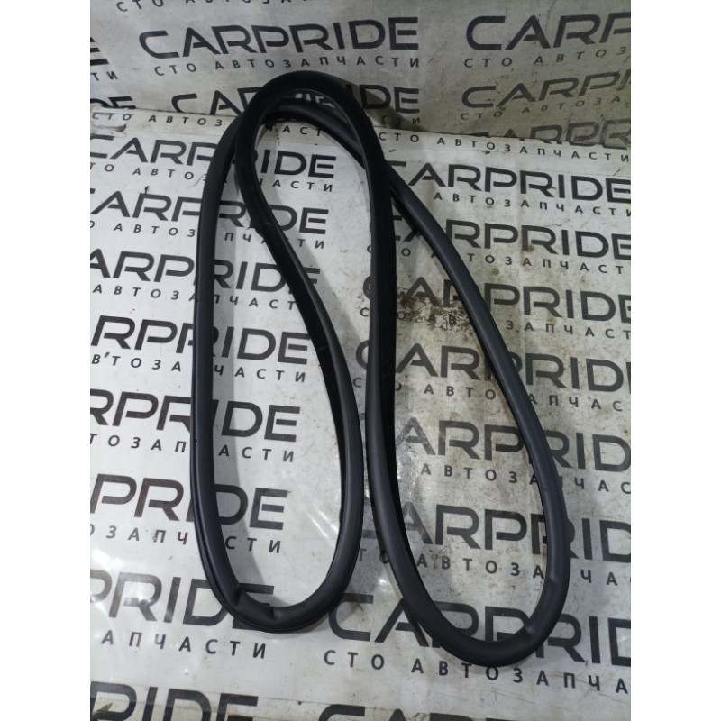 Уплотнитель проема двери (кузов и элементы) BMW 5-series F10 2011 3.0 N55B30 51727182288