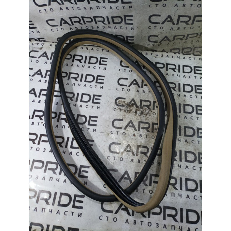 Уплотнитель проема двери (кузов и элементы) Mercedes-Benz GL X164 2012 4.6 a1646900476