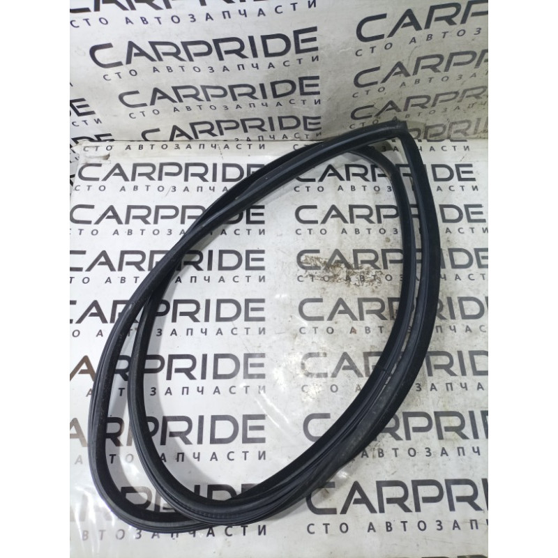 Уплотнитель проема двери (кузов и элементы) BMW 3-series E92 2010 3.0 N54 51767119091