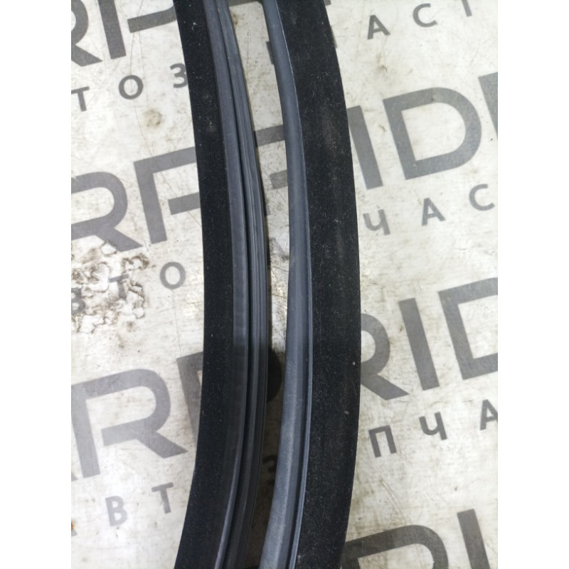 Уплотнитель проема двери (кузов и элементы) BMW 3-series E92 2010 3.0 N54 51767119091