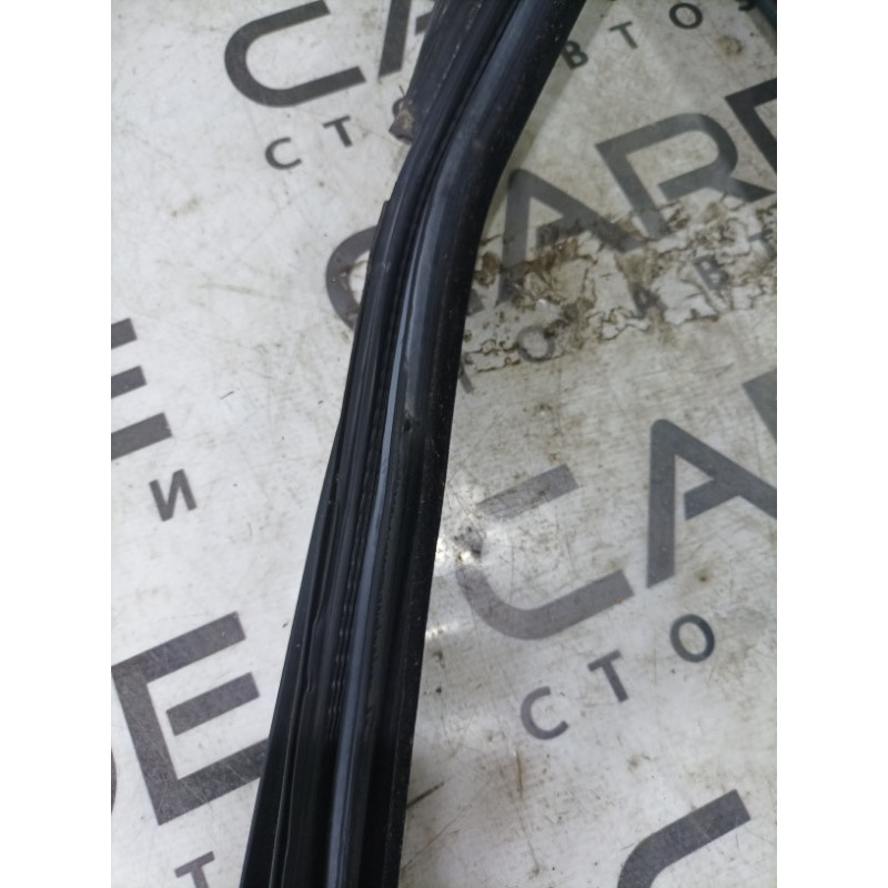 Уплотнитель проема двери (кузов и элементы) BMW 3-series E92 2010 3.0 N54 51767119091