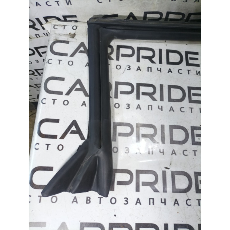 Уплотнитель проема двери (кузов и элементы) FORD Mustang MK6 2017 2.3 fr3b6321596a