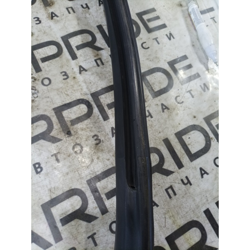 Уплотнитель проема двери (кузов и элементы) FORD Mustang MK6 2017 2.3 fr3b6321596a