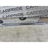 Молдинг стекла