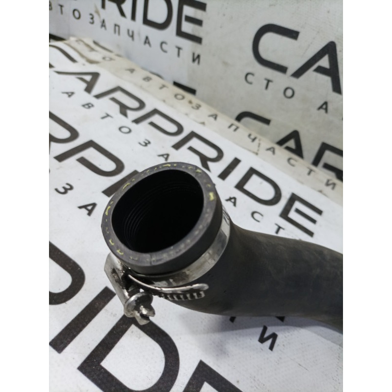 Патрубок (система охлаждения) FORD Focus MK3 2016 1.0 cv616c646ak