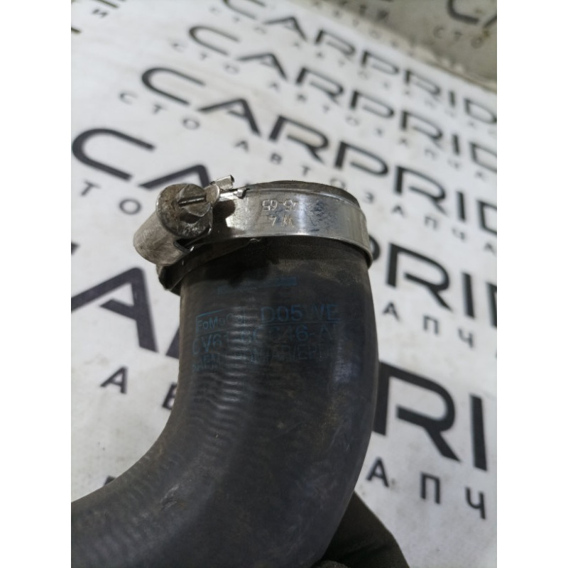 Патрубок (система охлаждения) FORD Focus MK3 2016 1.0 cv616c646ak