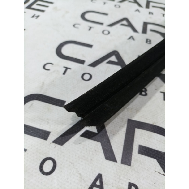 Молдинг стекла внутренний (наружные элементы кузова) Ford Focus MK3 2016 2.0 DM5Z5821456A