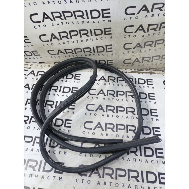 Уплотнитель проема двери (кузов и элементы) Ford Transit Connect 1 2005 1.8L 5169963