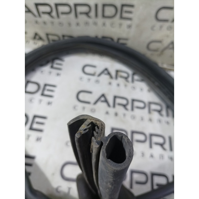 Уплотнитель проема двери (кузов и элементы) Ford Transit Connect 1 2005 1.8L 5169962