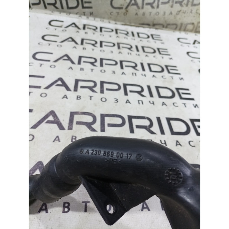 Горловина бачка омывателя (кузов и элементы) Mercedes-Benz SL R230 a2308690017