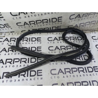 Ущільнювач отвору багажника