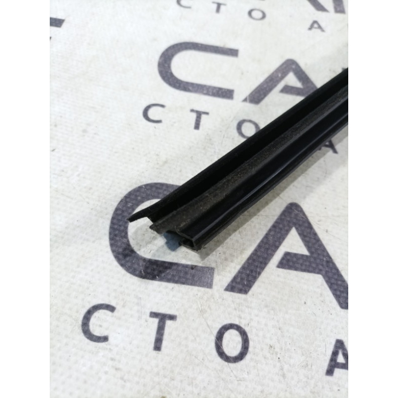 Молдинг стекла внутренний (наружные элементы кузова) FORD Focus MK3 2013 2.0 DM5Z5821456A