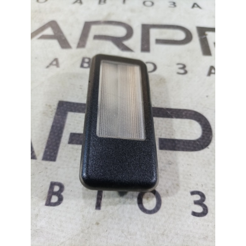 Плафон салона (салон) BMW X5 E53 M57d30 140929