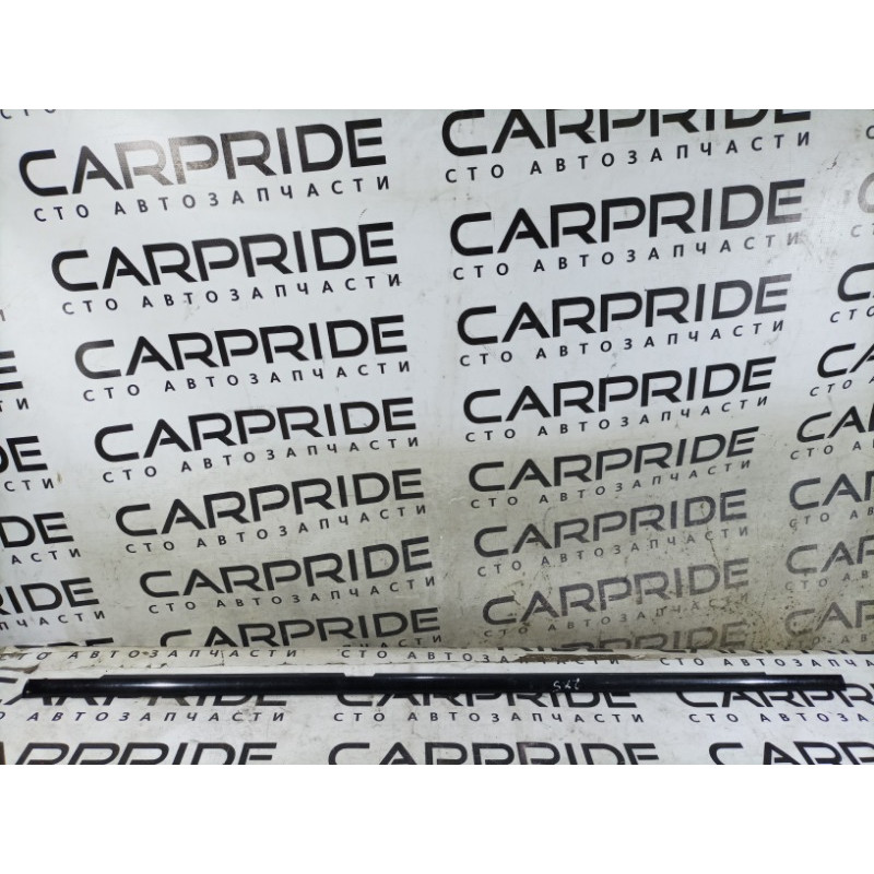 Молдинг стекла (кузов и элементы) BMW X5 E53 M57d30 51348257704