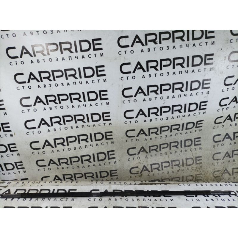 Молдинг стекла (кузов и элементы) BMW X5 E53 M57d30 51348257704