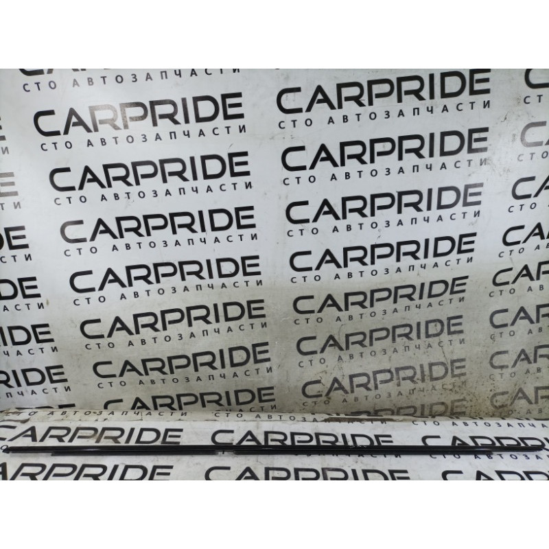 Молдинг стекла (кузов и элементы) BMW X5 E53 M57d30 51348257704