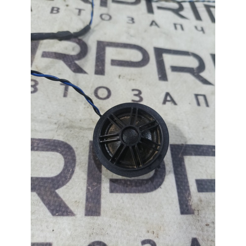 Динамик (электрика) BMW 3-series F30 2014 N20B20 65139220750