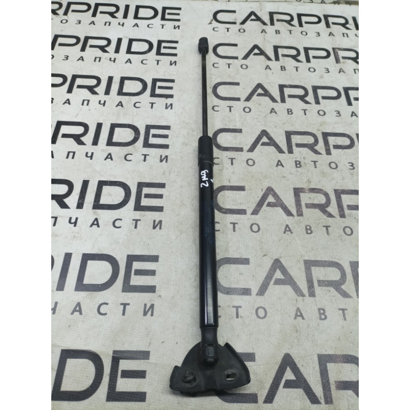 Амортизатор багажника (кузов і елементи) Renault Megane 3 2009 1.5 844300009r