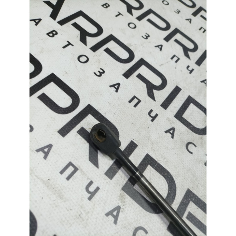 Амортизатор багажника (кузов і елементи) Renault Megane 3 2009 1.5 844300009r