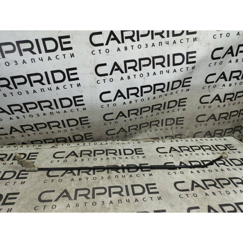 Упор капота (кузов и элементы) Volkswagen Passat B5 2003 2.5 AKN