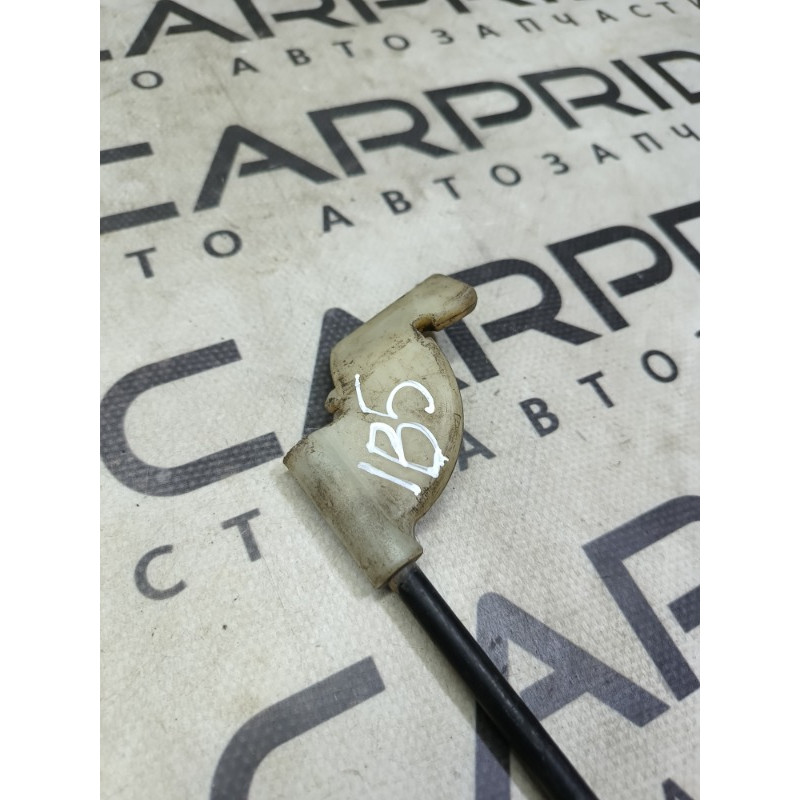 Упор капота (кузов і елементи) Volkswagen Passat B5 2003 1.9 TDI